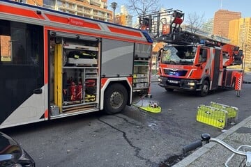 Berlin: Stromkasten-Brand in Tiergarten ruft Feuerwehr auf den Plan