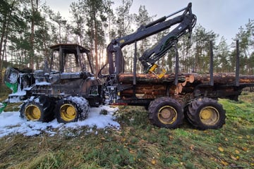 Hoher Schaden durch Feuer: Waldmaschine von Flammen zerstört