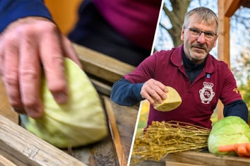 Er ist Chef des Clubs "Flinker Hobel": Sauerkraut-König Michael gibt sein Geheimrezept preis