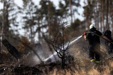 Unfassbar! Paar macht bei hoher Gefahrenstufe Lagerfeuer im Wald