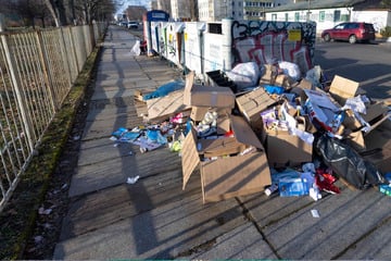 Dresden: Viel Müll zum Jahreswechsel erwartet! Muss das hier wirklich sein?