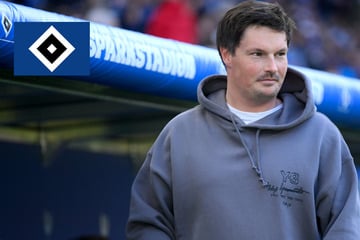 Polzin stellt sich Kinderfragen: Diese Superkräfte wünscht sich der HSV-Trainer für Hoffenheim-Partie