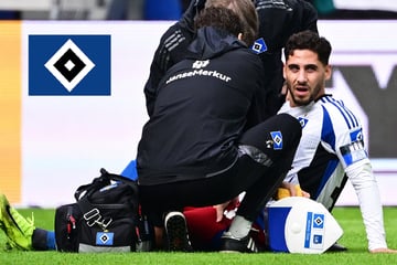 Hiobsbotschaft für den HSV: Ludovit Reis fällt mit Verletzung lange aus!