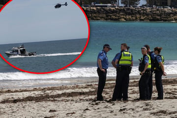 Blutlache vor beliebtem Strand entdeckt: Schwimmer bei Hai-Attacke getötet