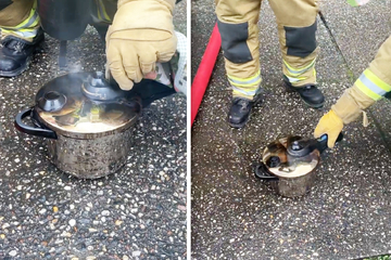 Dresden: Alleingelassener Topf löst Feuerwehreinsatz aus