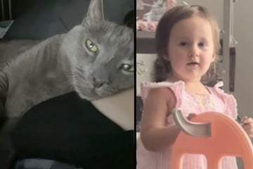 Als Mädchen (2) mit toter Katze spielt, zögert die Mutter keine Sekunde