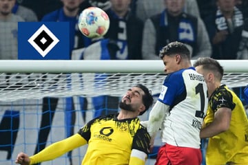 HSV-Blog: BVB provoziert auf X, doch der Konter sitzt