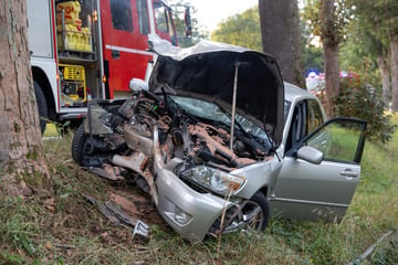 Fahranfänger kracht gegen Baum: Lexus erleidet Totalschaden