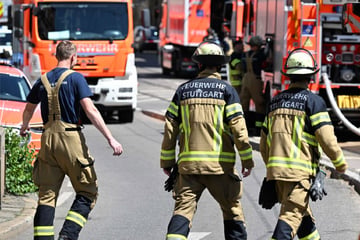 Stuttgart: Große Rauchwolke über Edeka in Stuttgart: Feuerwehr im Großeinsatz