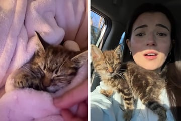 Frau findet Katze, die ihre Augen nicht öffnen kann: Dann trifft sie eine mutige Entscheidung