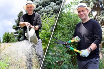 Dresden: Chef der "Herkuleskeule" ist im Garten noch Lehrling