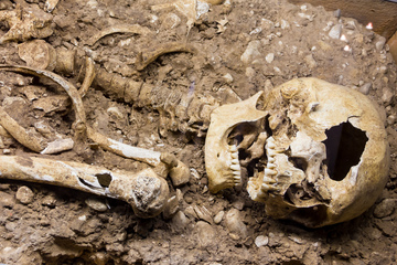 Kuriose Wende in vermutetem Mordfall: Neue Erkenntnisse zu menschlichem Skelett verblüffen
