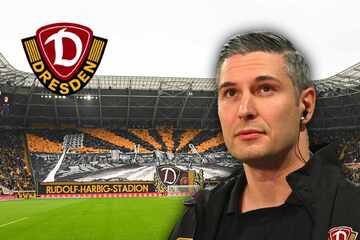 Dynamo bastelt an neuem Stadion-Plan: "Wenn man in die Zukunft schaut, ist es zu klein"