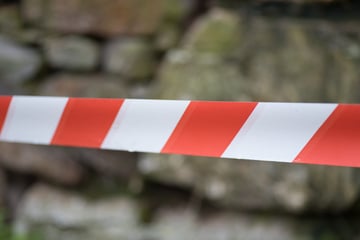 Familienstreit wegen ChatGPT: Wenig später ist der Sohn tot
