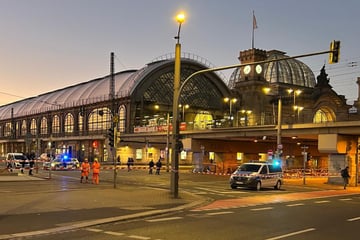 Kran reißt Oberleitung herunter: Verkehr am Hauptbahnhof unterbrochen