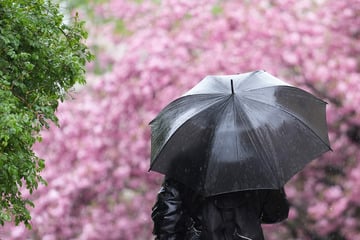 Fällt Himmelfahrt ins Wasser? So wird das Wetter im Norden