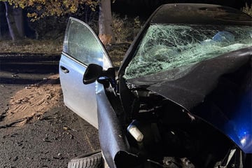 Tödlicher Unfall: Junger Mann (†20) kracht gegen Baum und stirbt