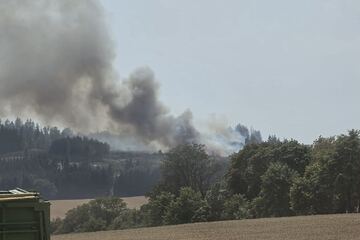 Feuer-Alarm auf Getreidefeld: Flammen greifen auf Waldstück über