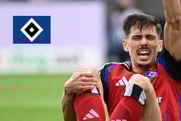 HSV-Blog: Für Dennis Hadzikadunic ist die Saison beendet