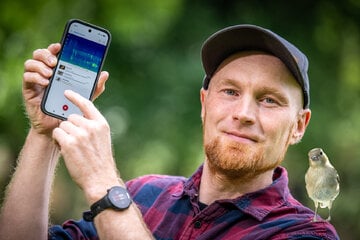 Vogelstimmen-App aus Sachsen zwitschert Euch rund 9000 Arten ins Ohr