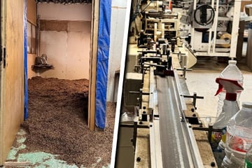 Illegale Kippenschmiede in Düsseldorf: Weitere Beschuldigte müssen hinter Gitter