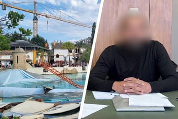 Wassershow-Unfall im Europa-Park: Gericht spricht Urteil gegen Angeklagten