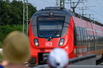 Schlechte Nachrichten für Pendler: Ersatzverkehr zwischen Magdeburg und Dessau