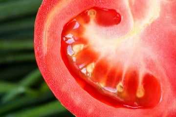 Selbst Tomatensamen gewinnen: So einfach geht's