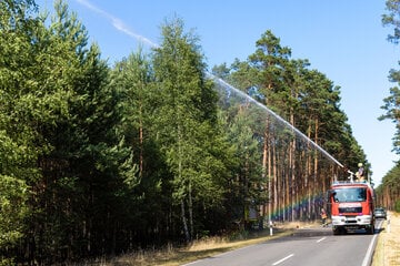 Waldbrand im Harz: Löschflugzeug im Einsatz