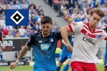 HSV will bei der TSG Hoffenheim das schaffen, was 15 Jahre nicht mehr gelang