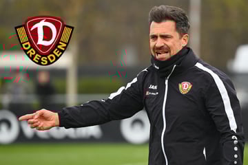 Trotz Sprung aus der Abstiegszone: Keine Euphorie bei Dynamo-Coach Stamm