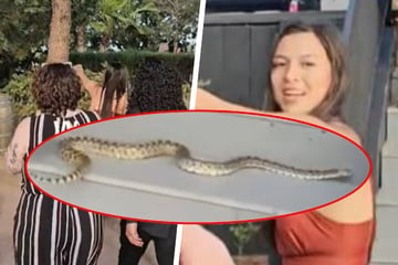 Giant snake crashes Arizona wedding – until bride's sister takes action!