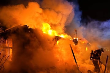 Vier Gartenlauben brennen lichterloh: Stundenlanger Einsatz für die Feuerwehr