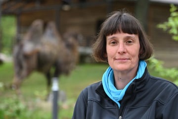 Chemnitz: Schluss nach 14 Jahren! Chemnitzer Tierpark-Chefin hört auf