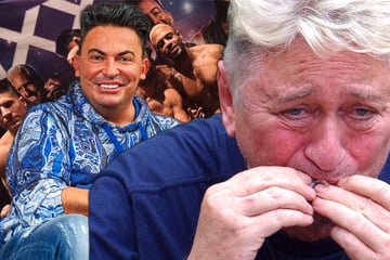 Dschungelcamp: "Finde ich schlimm": Hubert Fella leidet im Dschungel, sein Ehemann schaut heiße Tänzer an