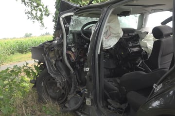 Mann kracht mit VW frontal gegen Baum und stirbt noch an der Unfallstelle