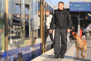 Fachkräfte auf vier Pfoten: Polizeihunde in Sachsen-Anhalt sind länger im Einsatz