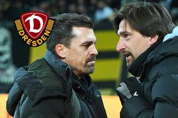 Gegner-Trainer lobt Dynamo über den Klee: "Mit einer geilen Intensität unterwegs"