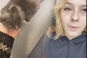 Frau geht nach Trennung ins Tierheim und fragt nach ältester Katze: Was folgt, sorgt für Tränen