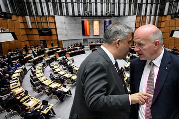 SPD will AfD verbieten: Berlin startet Vorstoß im Bundesrat