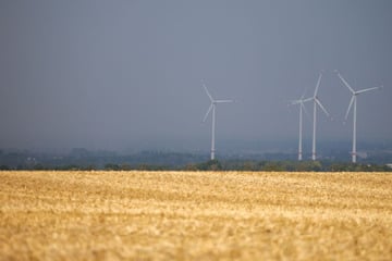 Bei Temperaturen um 20 Grad Celsius: So wird das NRW-Wetter am Wochenende