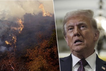 Trump calls California leaders "incompetent" over wildfire response