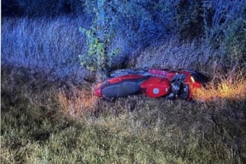 Motorradfahrer kracht mit Reh zusammen und muss in Klinik
