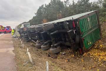 Unfall A2: Auffahrunfall auf der A2: Lastwagen mit Hühnern an Bord umgekippt!