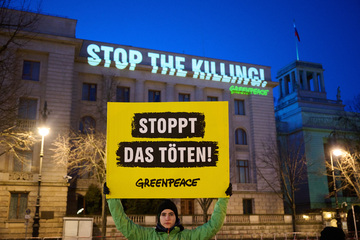 "Stoppt das Töten": Greenpeace protestiert vor russischer Botschaft in Berlin