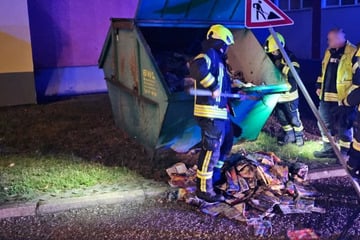 Mehrere Flächen- und Mülltonnenbrände in einer Nacht: Polizei prüft Zusammenhänge