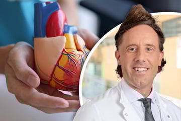 Dresden: Dresdner Studie soll Risiko für Schlaganfälle mindern