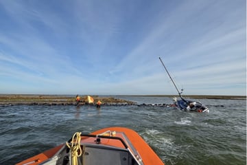 Zwei Tage ohne Hilfe: Deutscher auf stinkender Vogelinsel gestrandet