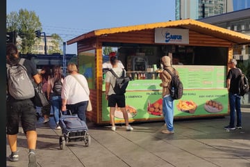 Dresden: Der Ekel hat kein Ende: Wieder mal Schaben in Dresdner Gastro-Betrieb!