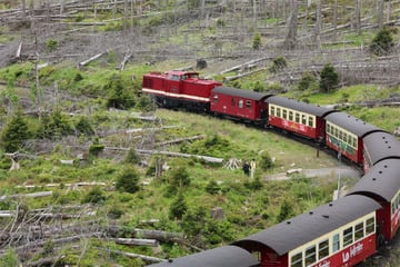 Harzer Schmalspurbahn nimmt wieder Betrieb mit Dampfloks am Brocken auf
